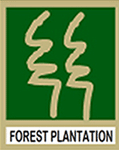 Forest Plantation Development Sdn Bhd (FPDSB)
