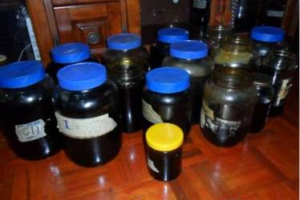 Oil