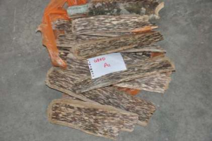 Woodpiece